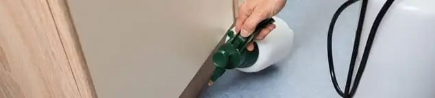 Bed bug exterminator treating baseboards and cracks with targeted spray in Nashville, TN