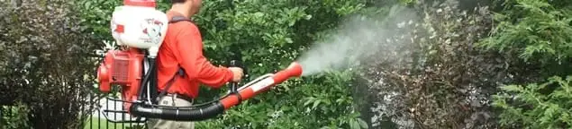 Mosquito control technician fogging shrubs and landscaping for mosquito treatment in Nashville, TN