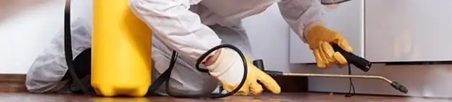 Roach exterminator treating cracks and crevices along kitchen baseboards in Nashville, TN