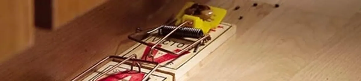 Rodent trap set indoors for rodent control and prevention in Nashville, TN