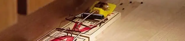 Rodent trap set indoors for rodent control and prevention in Nashville, TN